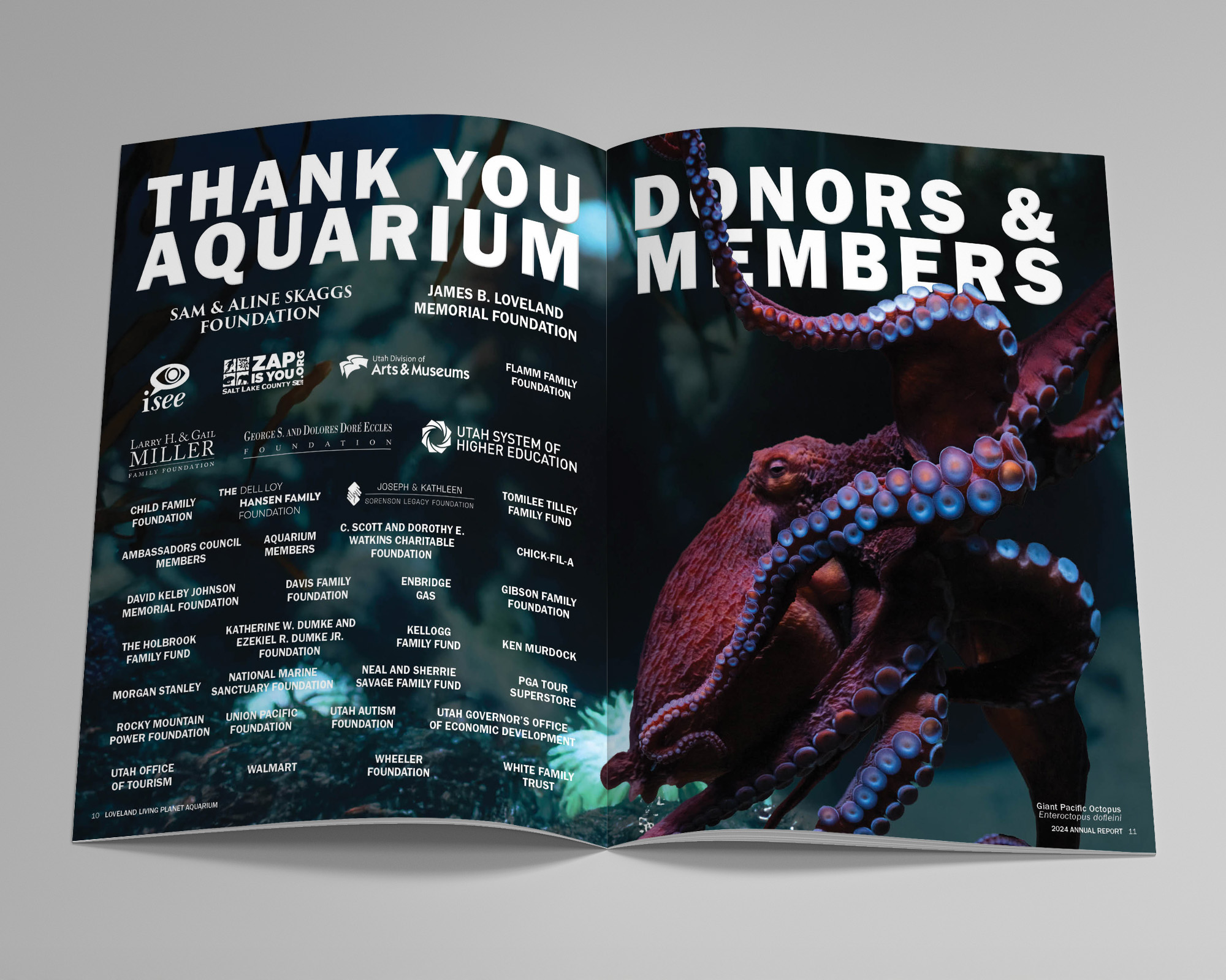 Thank You Donors